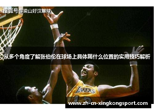 从多个角度了解张伯伦在球场上具体踢什么位置的实用技巧解析