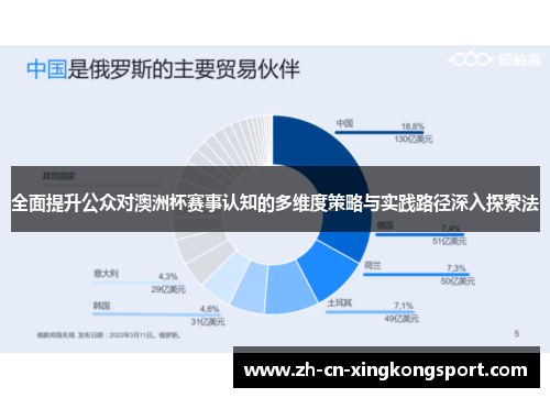 全面提升公众对澳洲杯赛事认知的多维度策略与实践路径深入探索法