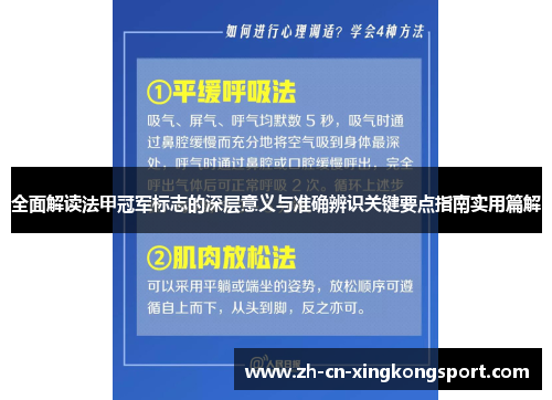 全面解读法甲冠军标志的深层意义与准确辨识关键要点指南实用篇解 全面解读法甲冠军标志的深层意义与准确辨识关键要点指南实用篇解