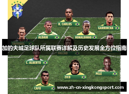 加的夫城足球队所属联赛详解及历史发展全方位指南