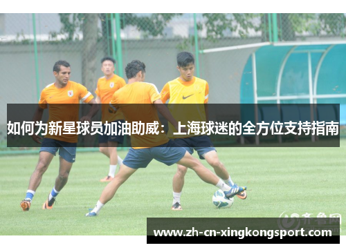 如何为新星球员加油助威：上海球迷的全方位支持指南