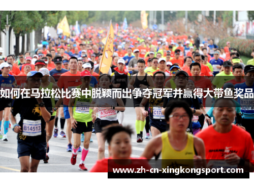 如何在马拉松比赛中脱颖而出争夺冠军并赢得大带鱼奖品