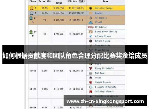 如何根据贡献度和团队角色合理分配比赛奖金给成员