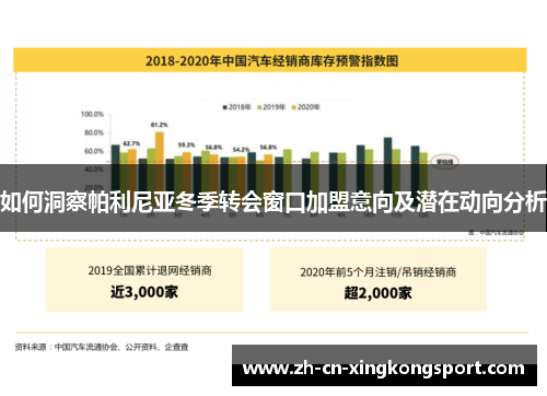 如何洞察帕利尼亚冬季转会窗口加盟意向及潜在动向分析