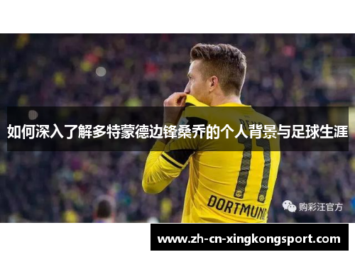 如何深入了解多特蒙德边锋桑乔的个人背景与足球生涯