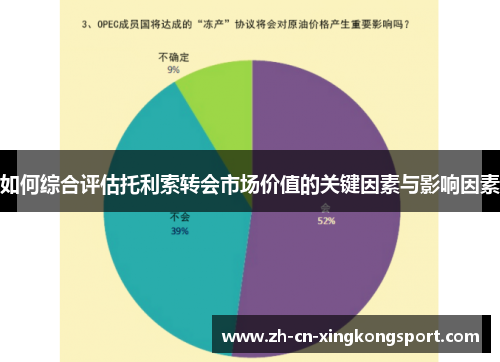 如何综合评估托利索转会市场价值的关键因素与影响因素