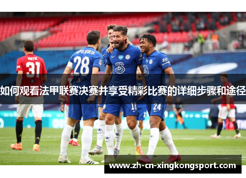 如何观看法甲联赛决赛并享受精彩比赛的详细步骤和途径