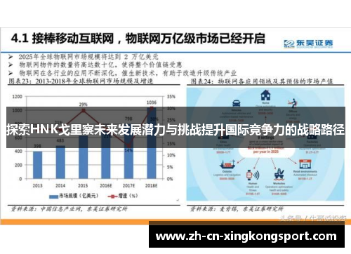 探索HNK戈里察未来发展潜力与挑战提升国际竞争力的战略路径 探索HNK戈里察未来发展潜力与挑战提升国际竞争力的战略路径