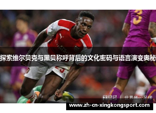 探索维尔贝克与黑贝称呼背后的文化密码与语言演变奥秘 探索维尔贝克与黑贝称呼背后的文化密码与语言演变奥秘